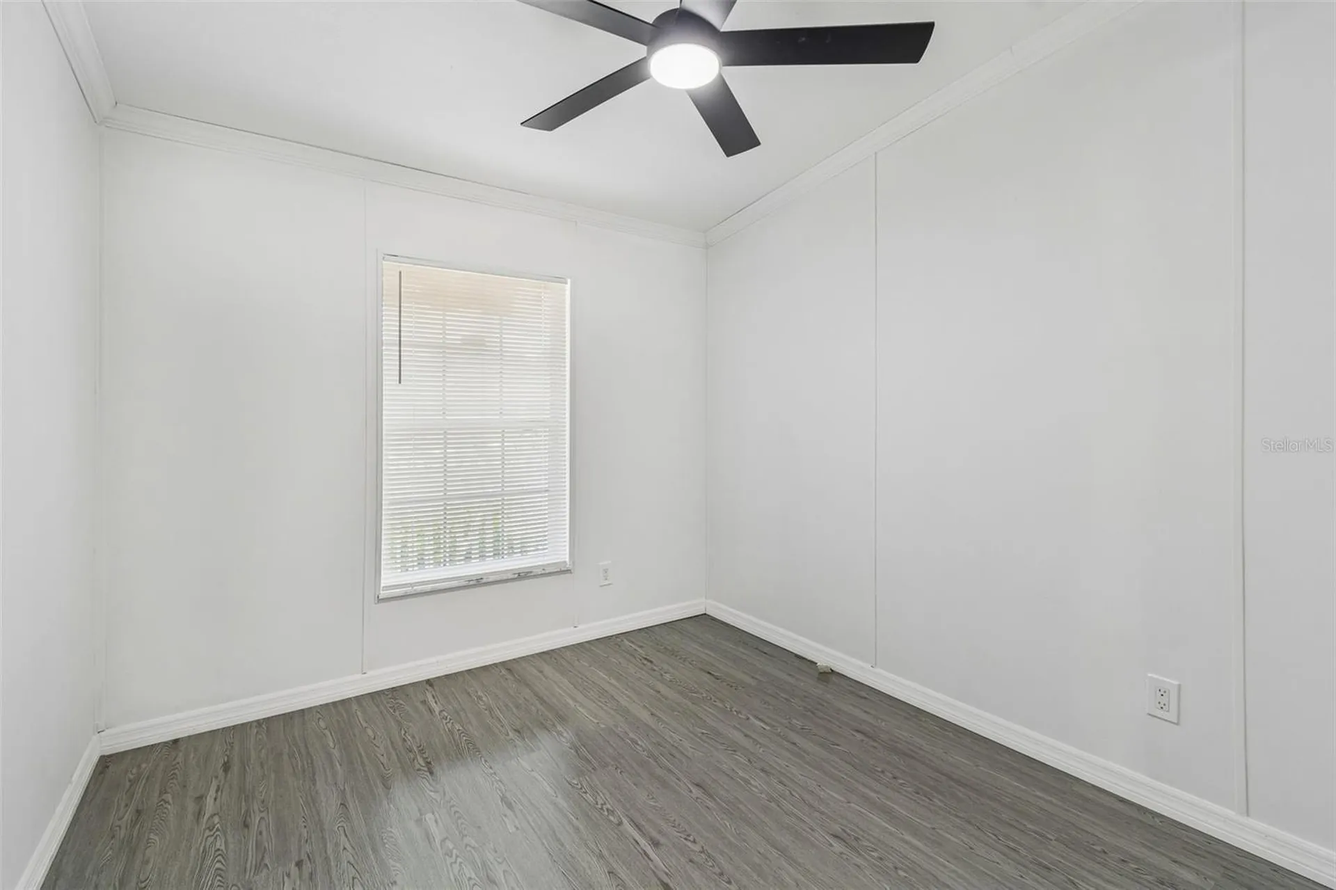 3724 Tack Drive Wesley Chapel FL 33543