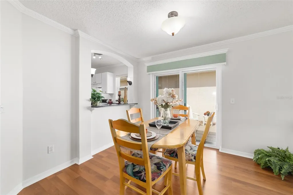 2007 Rios Court The Villages FL 32159