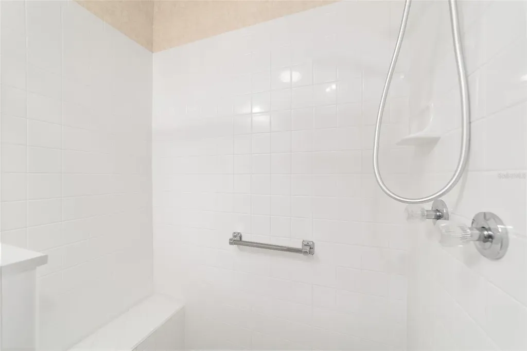2007 Rios Court The Villages FL 32159