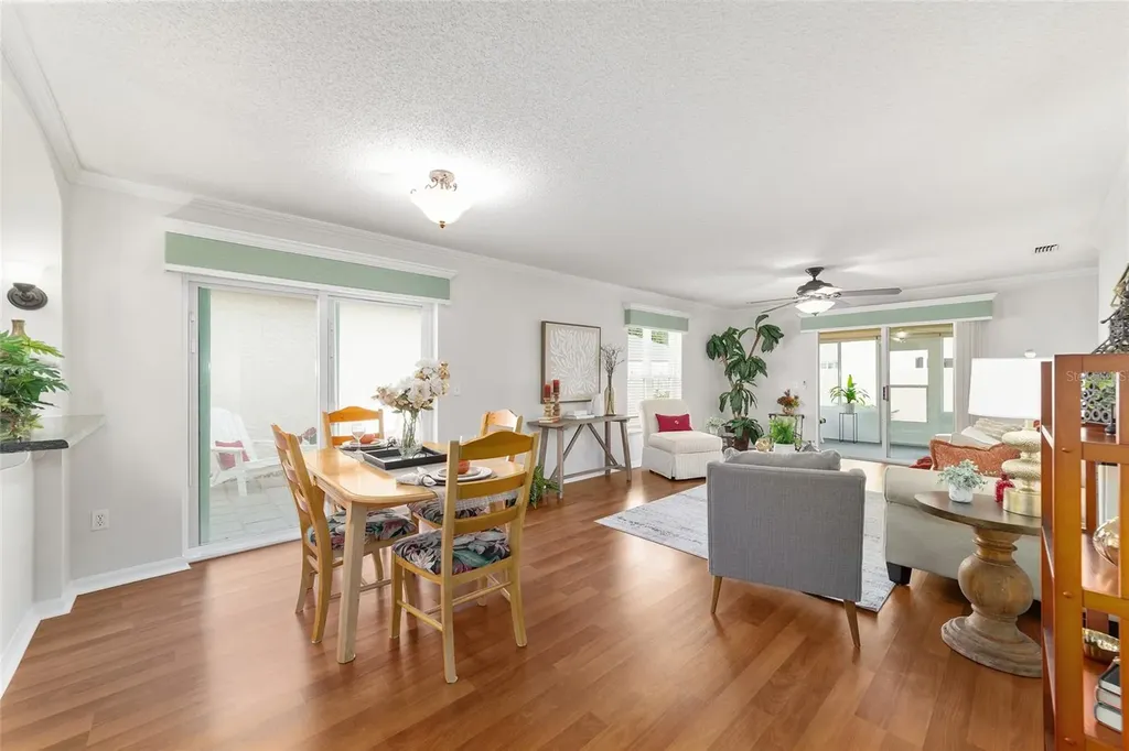 2007 Rios Court The Villages FL 32159