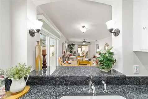 2007 Rios Court The Villages FL 32159