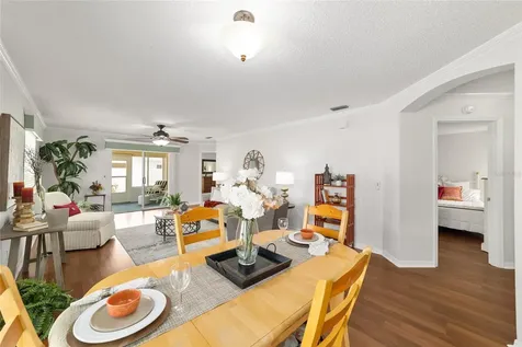 2007 Rios Court The Villages FL 32159
