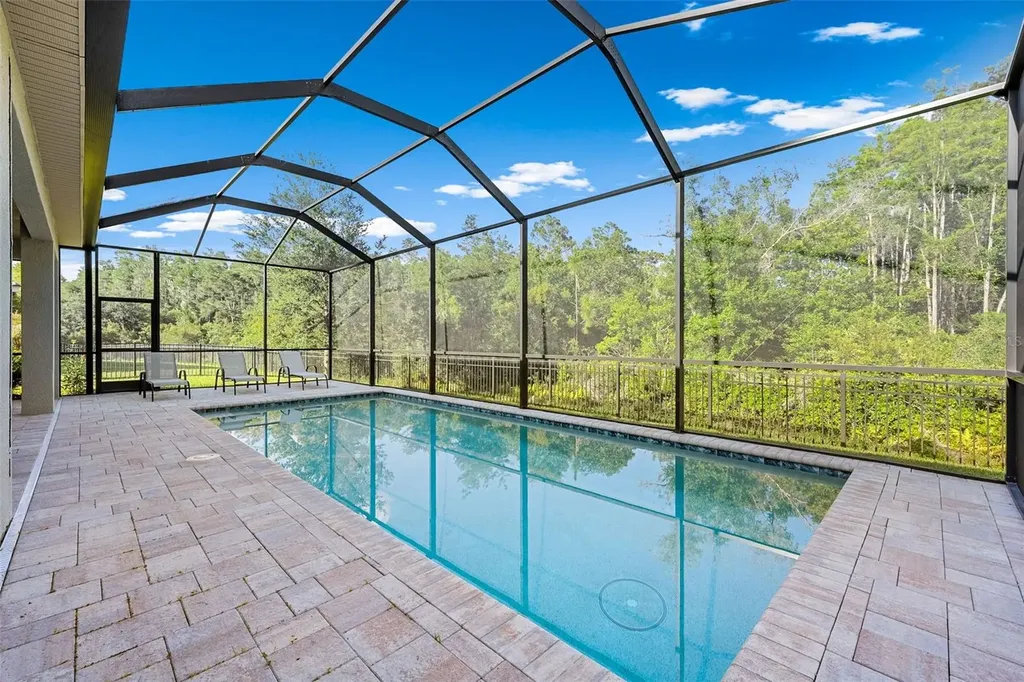 31321 Chesapeake Bay Drive Wesley Chapel FL 33543