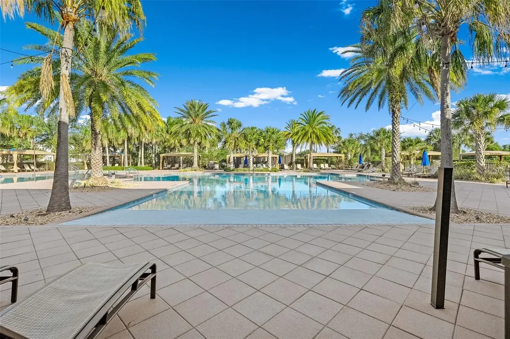 31321 Chesapeake Bay Drive Wesley Chapel FL 33543
