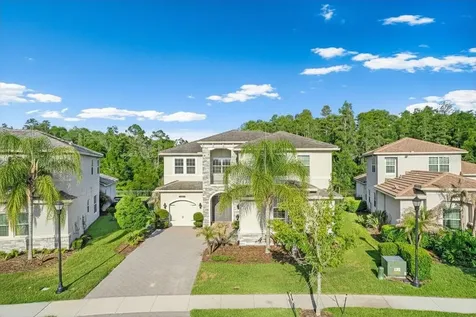 31321 Chesapeake Bay Drive Wesley Chapel FL 33543