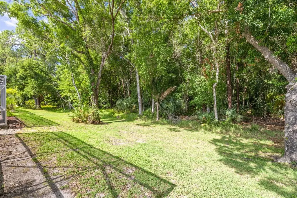3764 Darston Street Palm Harbor FL 34685