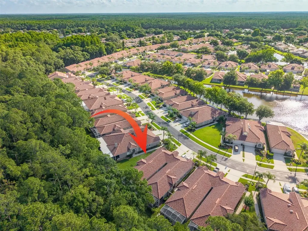 3764 Darston Street Palm Harbor FL 34685