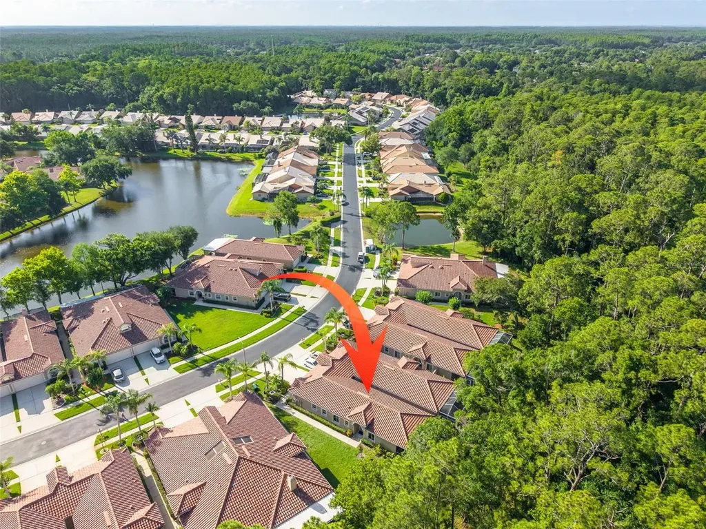 3764 Darston Street Palm Harbor FL 34685