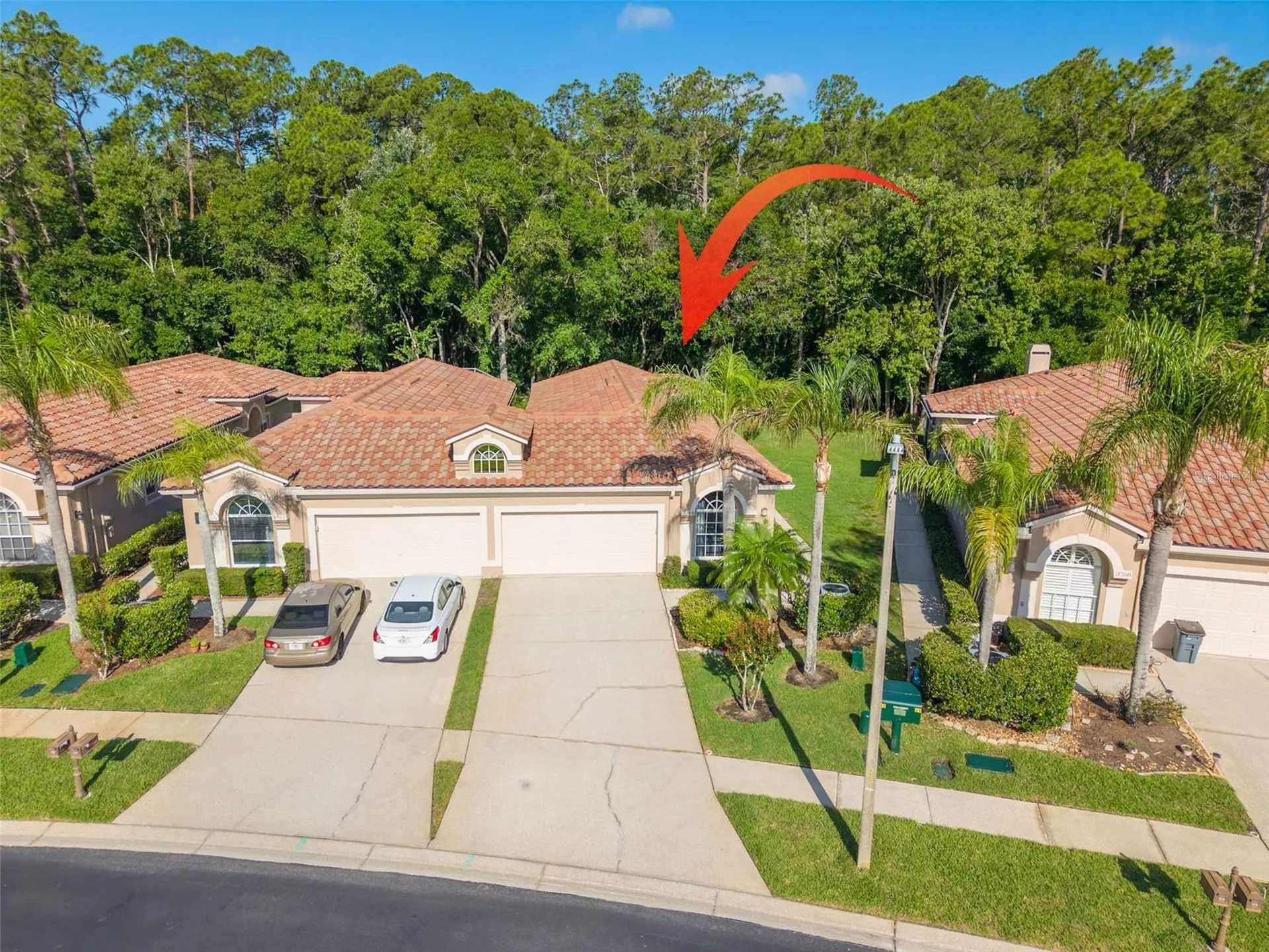 3764 Darston Street Palm Harbor FL 34685