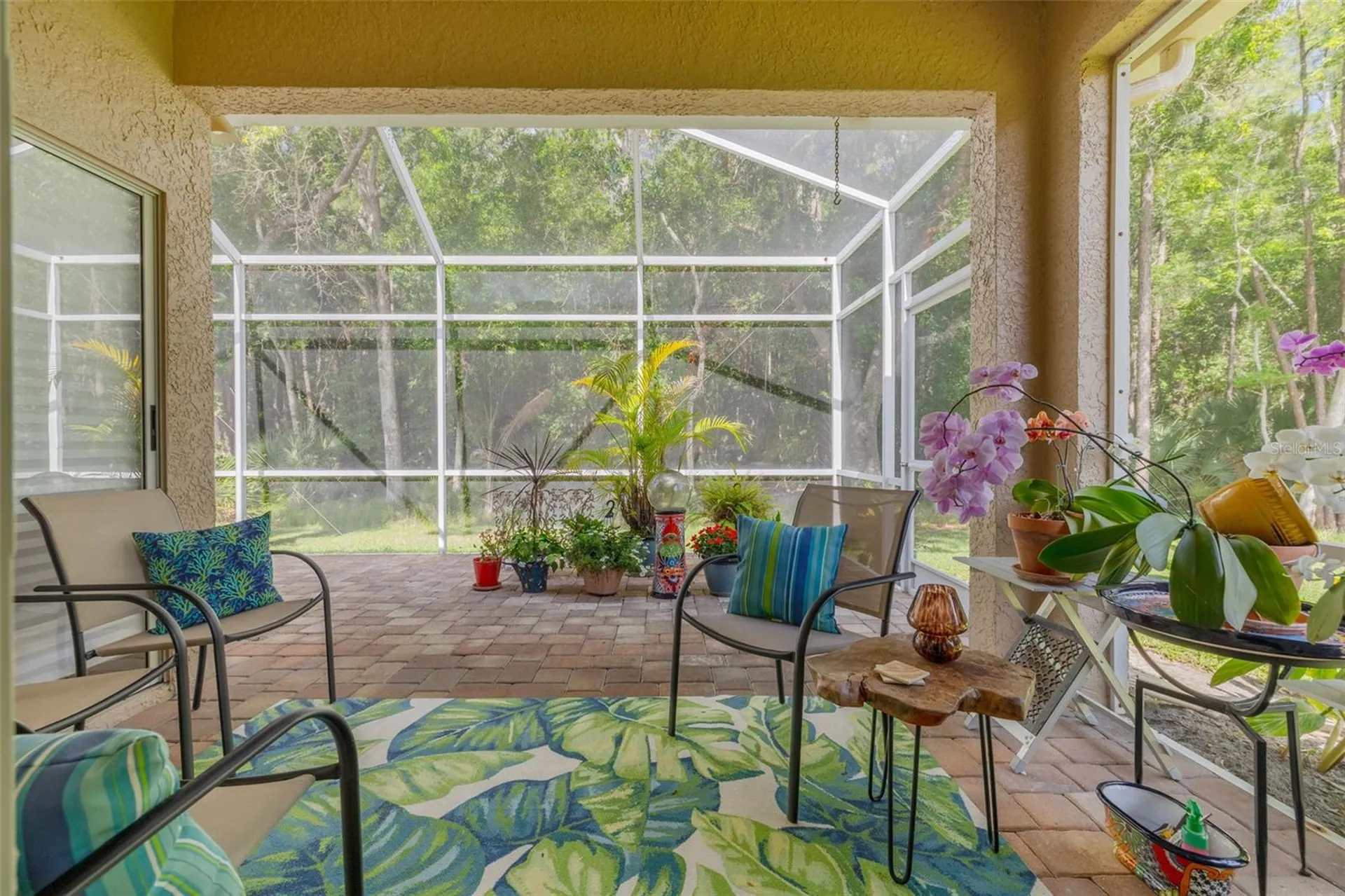 3764 Darston Street Palm Harbor FL 34685