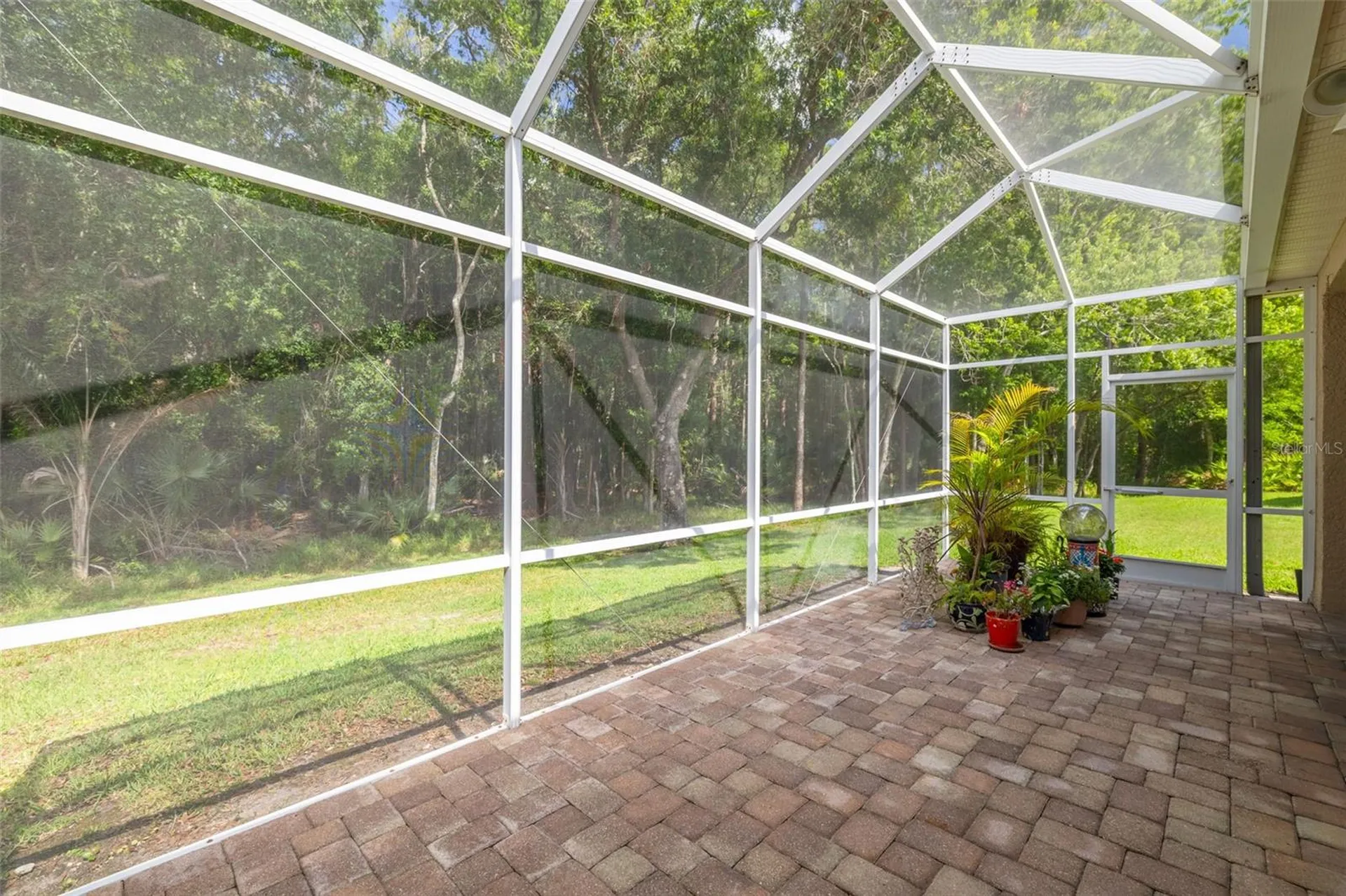 3764 Darston Street Palm Harbor FL 34685