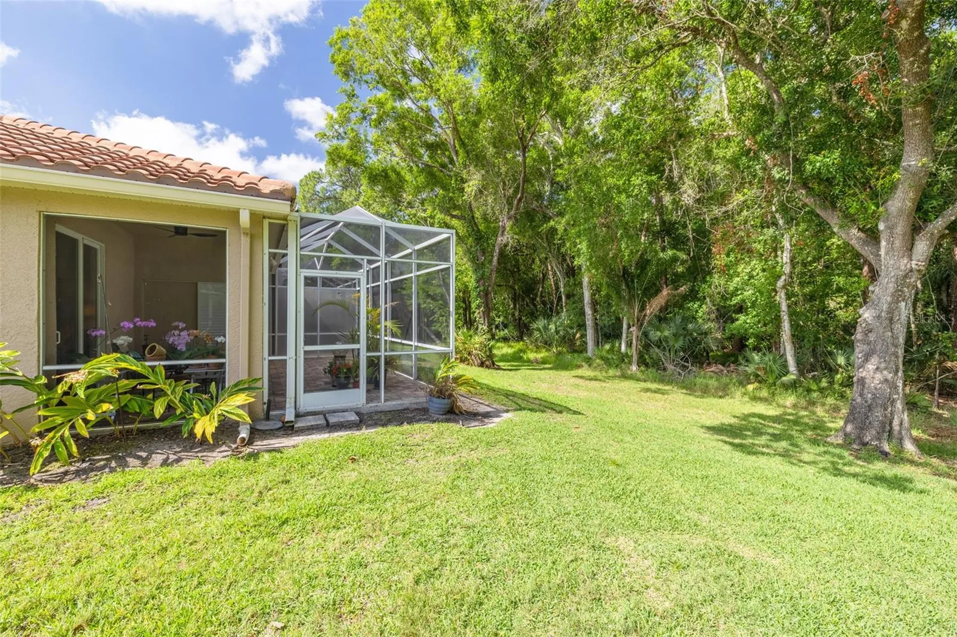 3764 Darston Street Palm Harbor FL 34685
