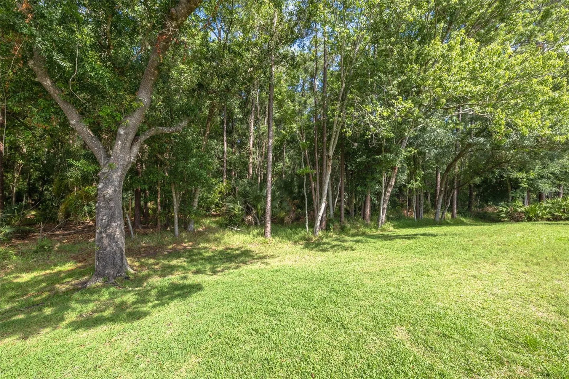 3764 Darston Street Palm Harbor FL 34685