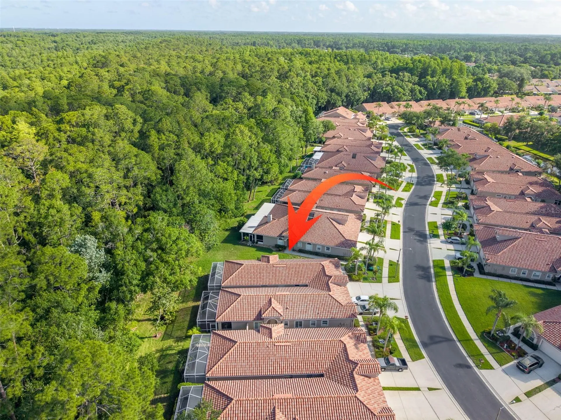 3764 Darston Street Palm Harbor FL 34685