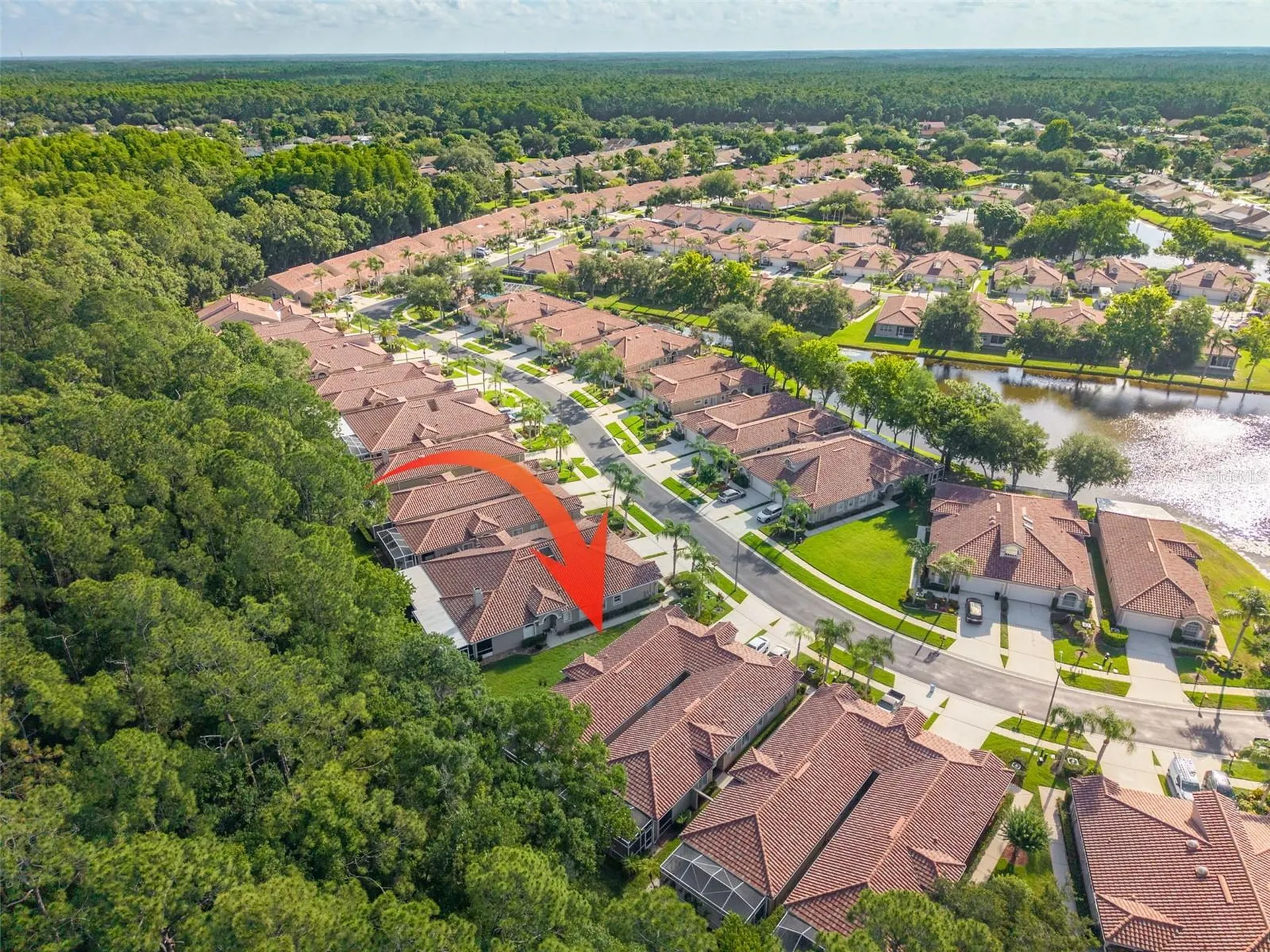 3764 Darston Street Palm Harbor FL 34685