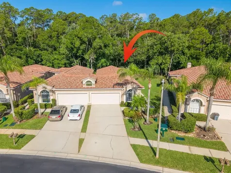 3764 Darston Street Palm Harbor FL 34685