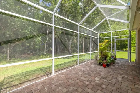 3764 Darston Street Palm Harbor FL 34685