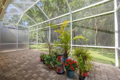 3764 Darston Street Palm Harbor FL 34685