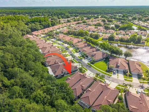 3764 Darston Street Palm Harbor FL 34685
