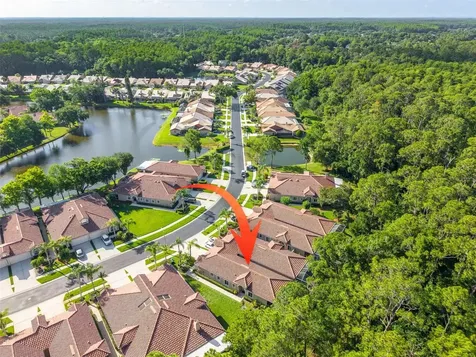 3764 Darston Street Palm Harbor FL 34685