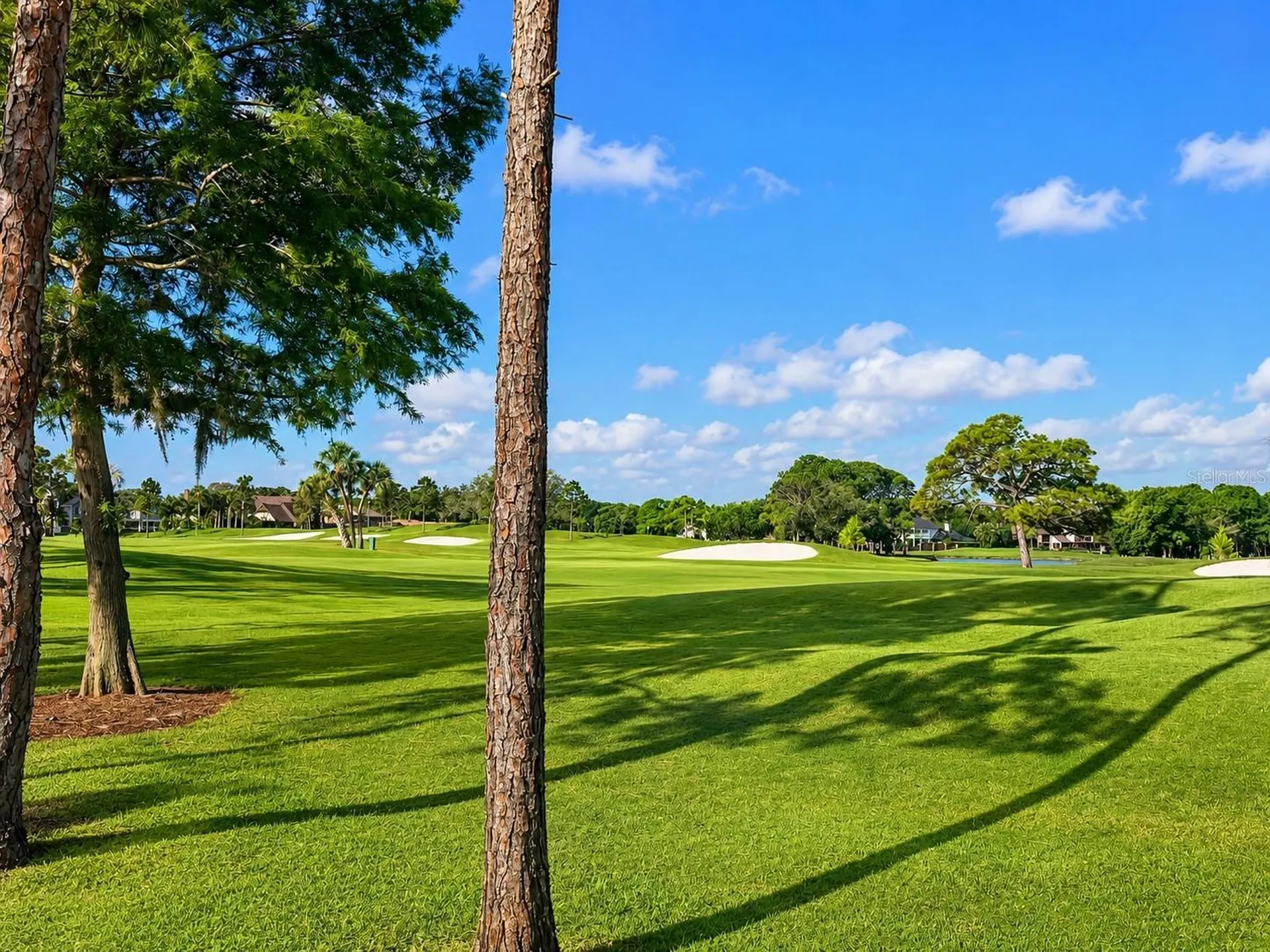 2400 Feather Sound Drive Clearwater FL 33762