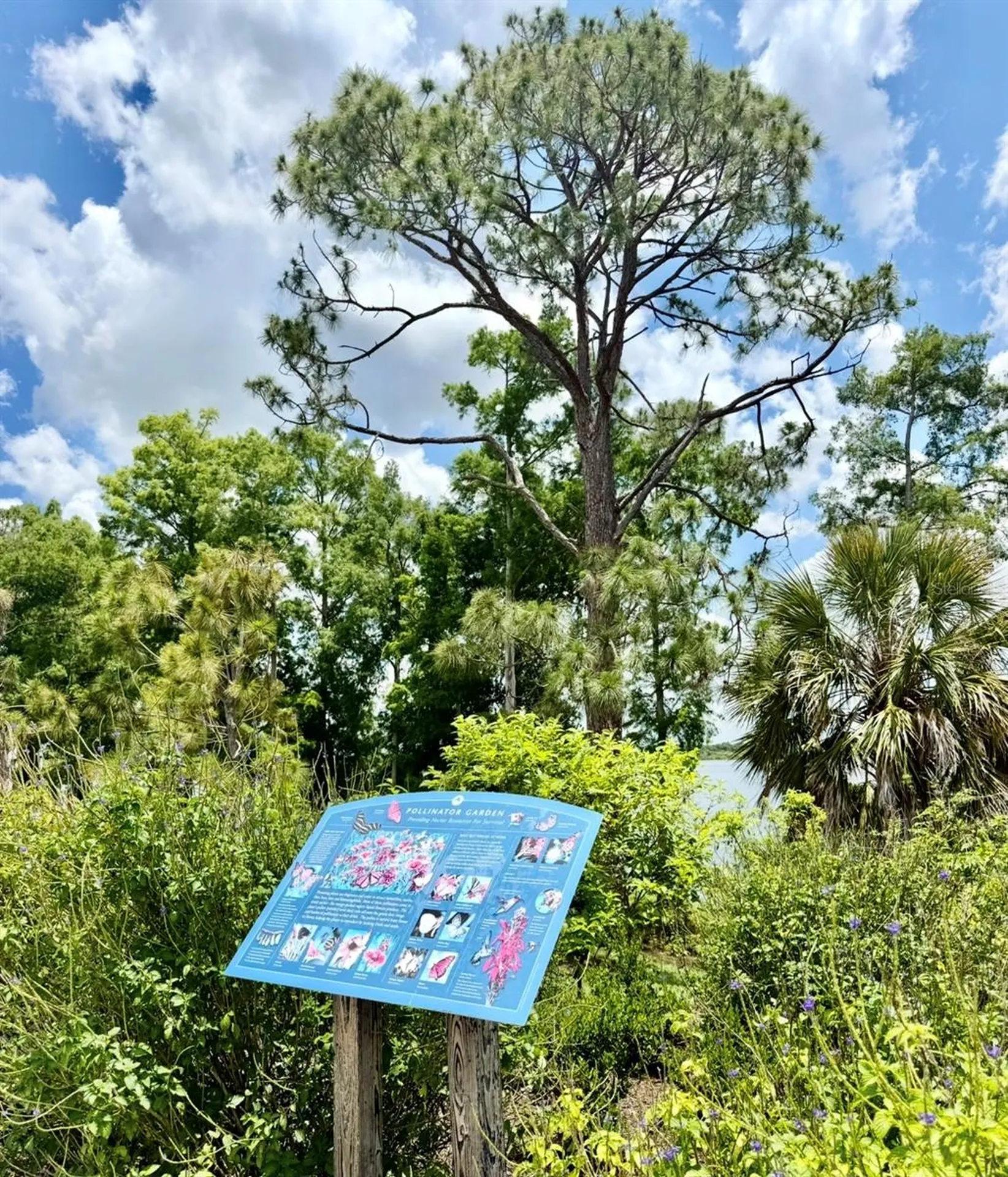 6374 Grandview Hill Court Bradenton FL 34203