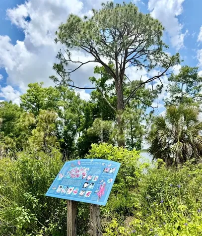 6374 Grandview Hill Court Bradenton FL 34203