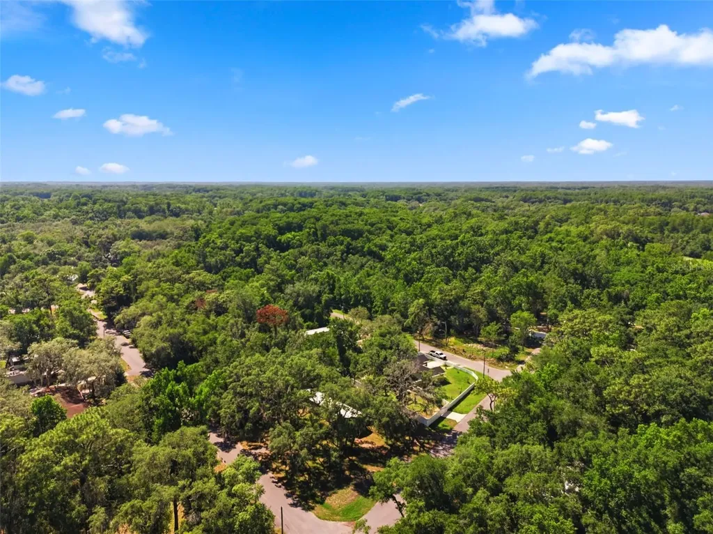 12449 Eagle Lake Avenue New Port Richey FL 34654