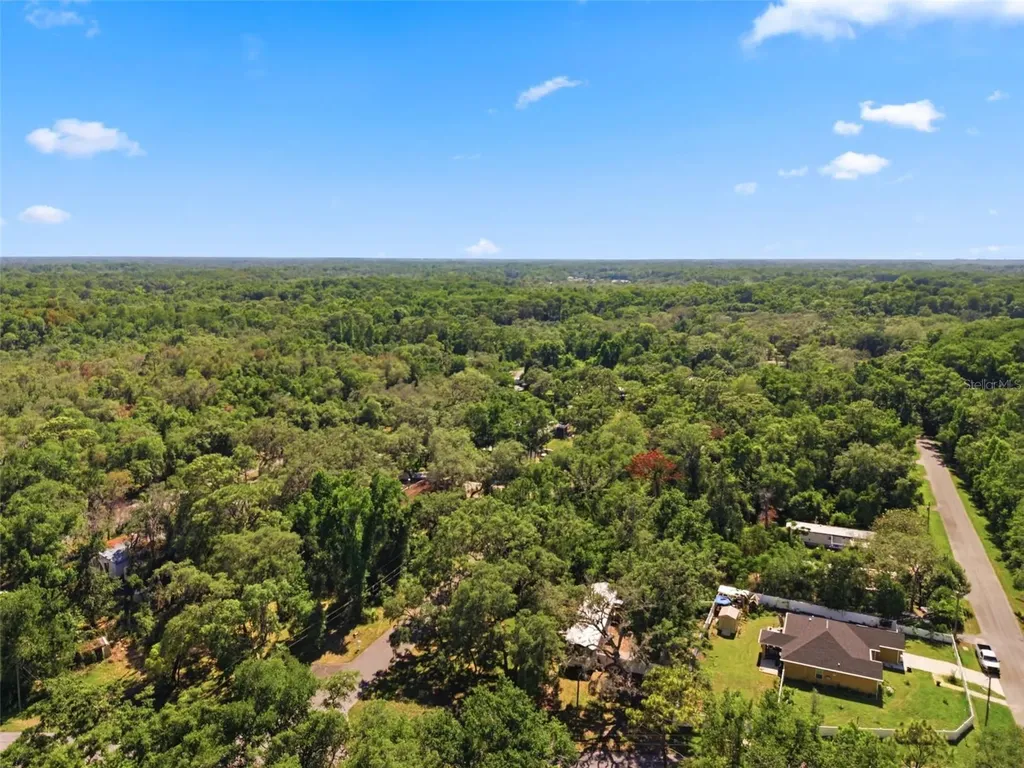 12449 Eagle Lake Avenue New Port Richey FL 34654