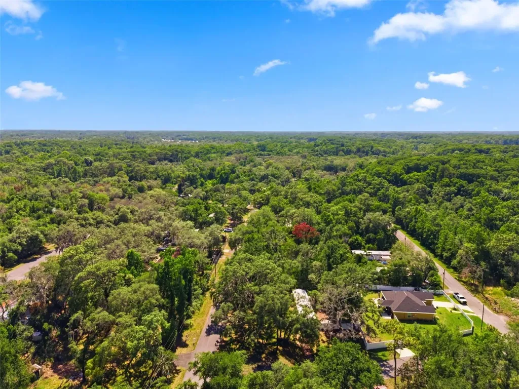 12449 Eagle Lake Avenue New Port Richey FL 34654