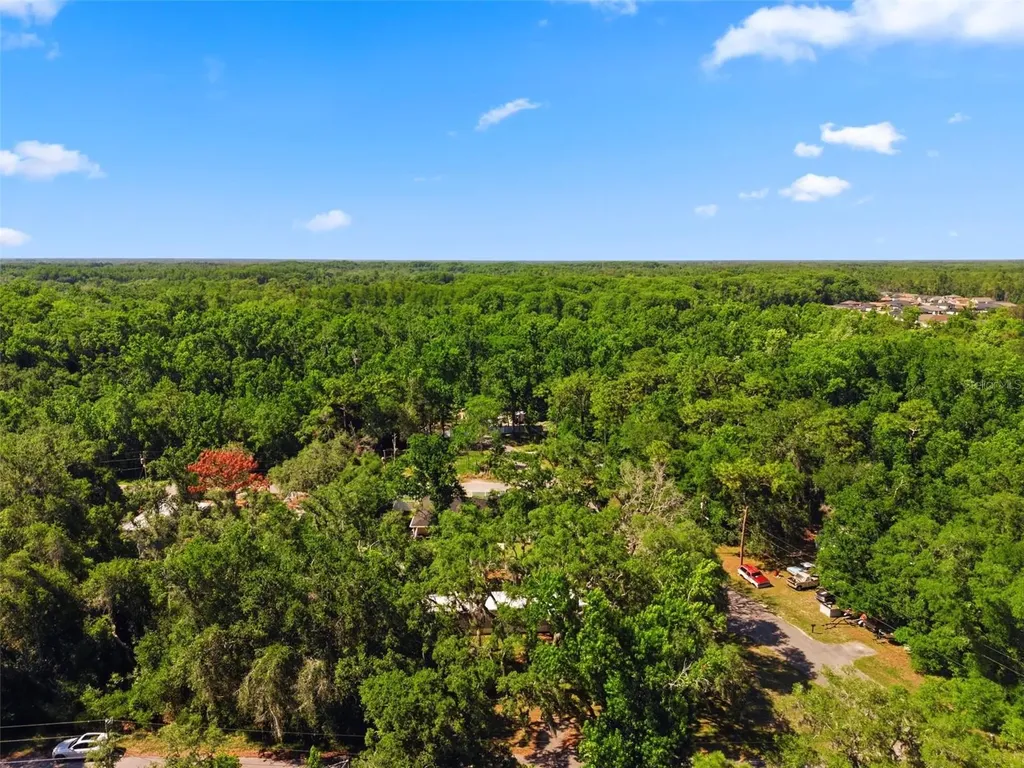 12449 Eagle Lake Avenue New Port Richey FL 34654