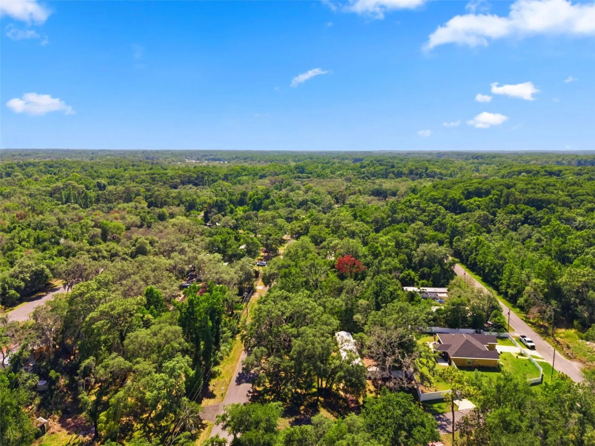 12449 Eagle Lake Avenue New Port Richey FL 34654