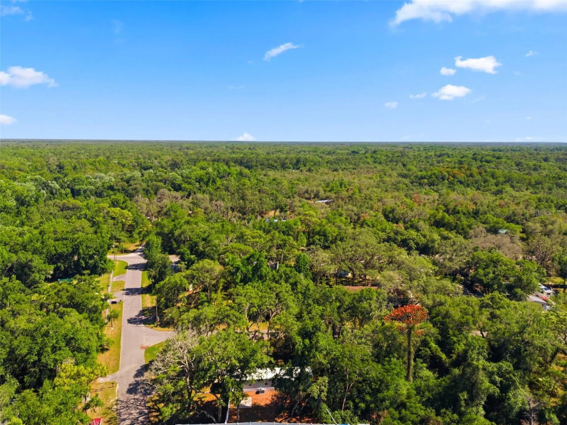 12449 Eagle Lake Avenue New Port Richey FL 34654