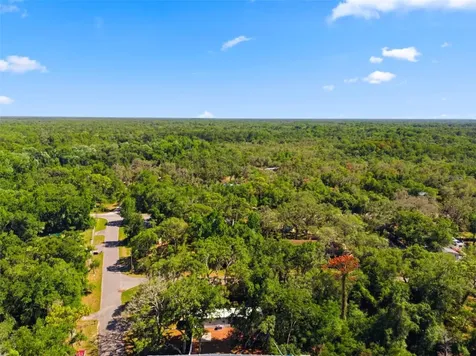 12449 Eagle Lake Avenue New Port Richey FL 34654