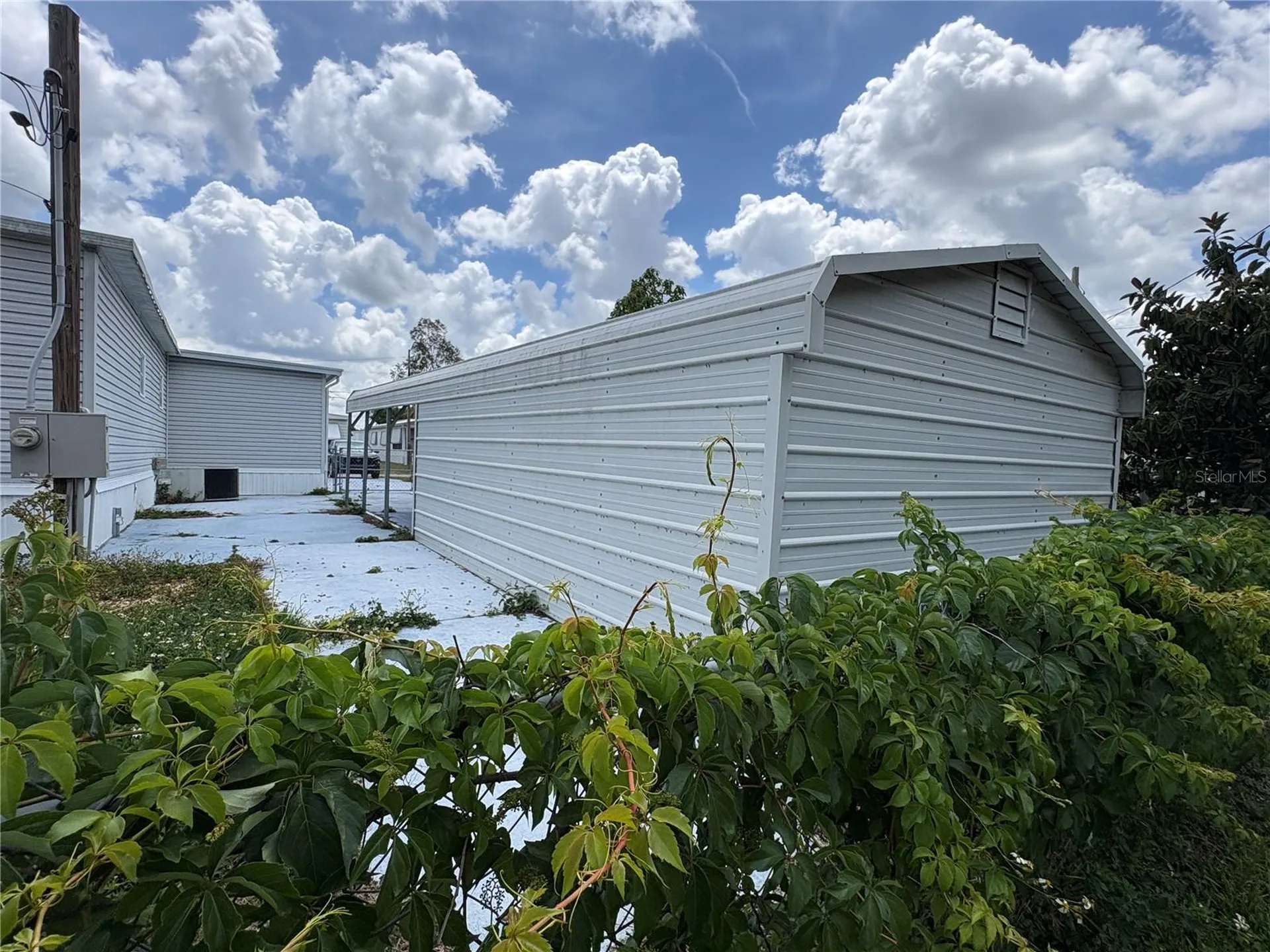 6605 Durian Trail New Port Richey FL 34653