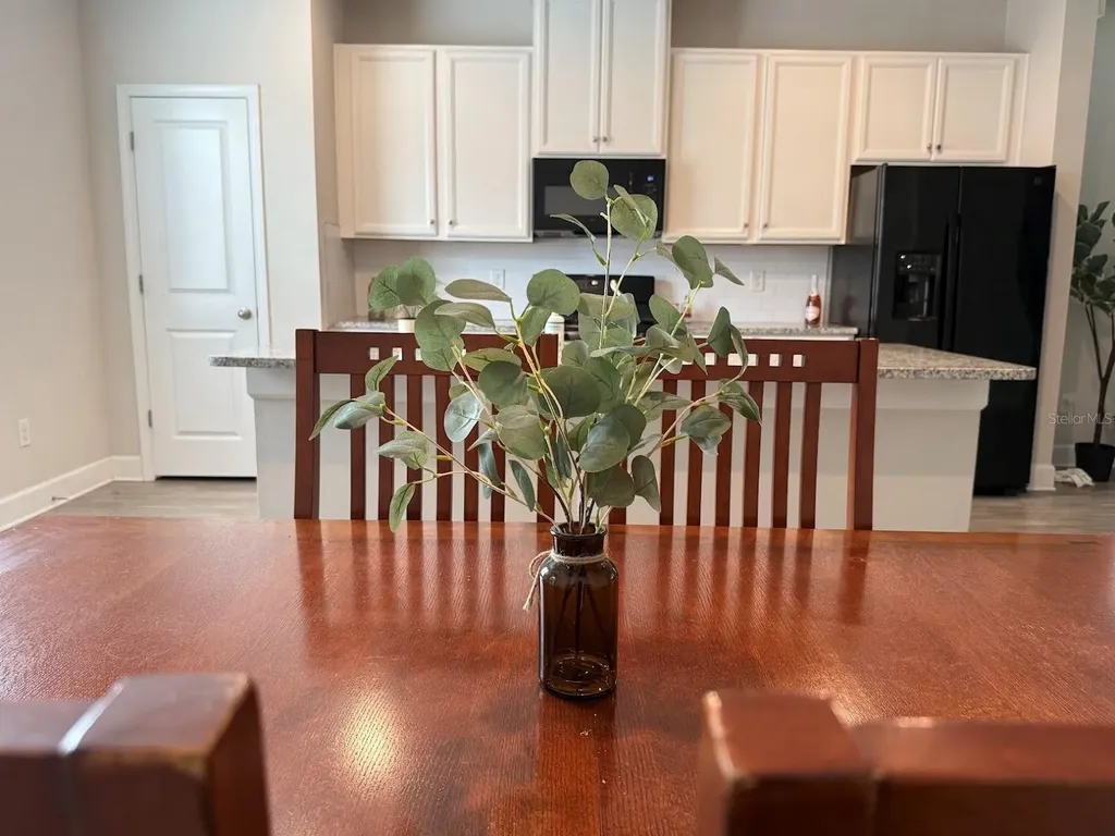 15084 Caravan Avenue Odessa FL 33556