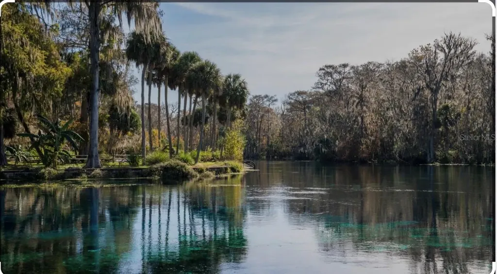 2853 NE 104th Terrace Silver Springs FL 34488