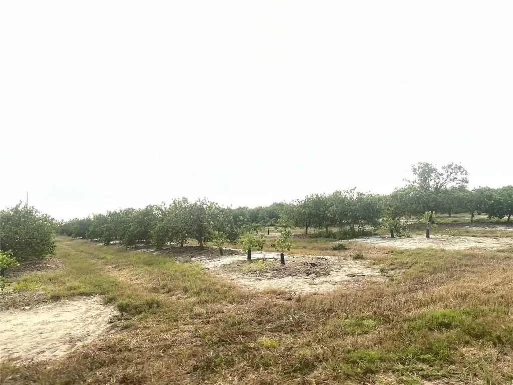 NE Highway 70 Arcadia FL 34266