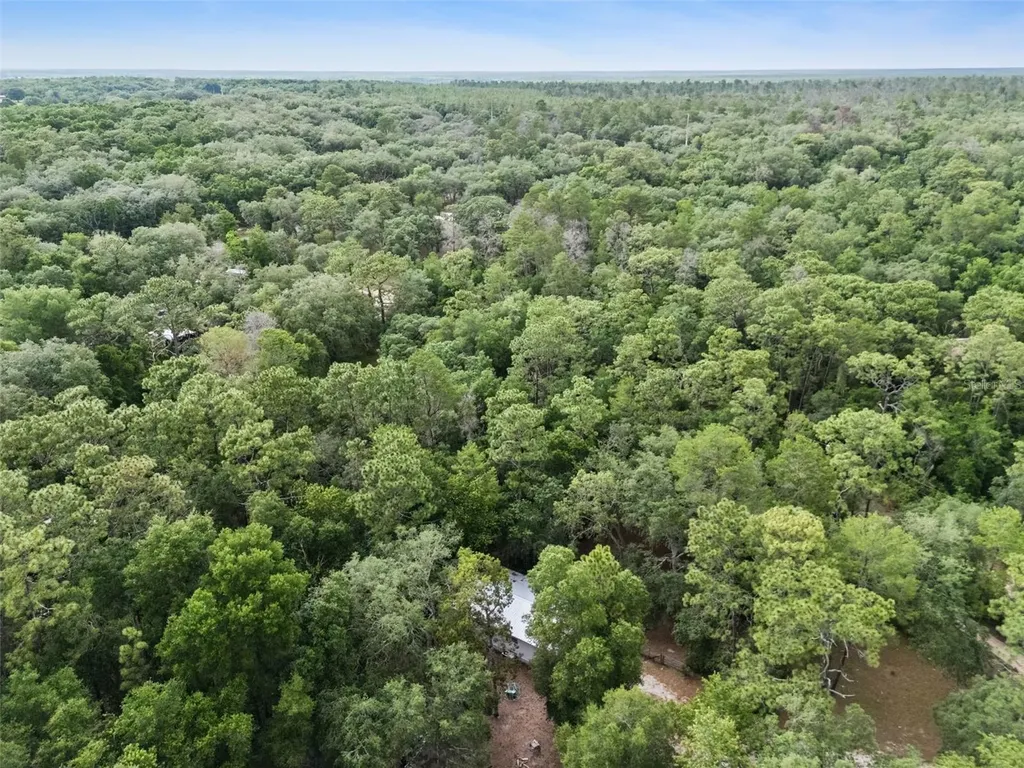 28100 SE 171st Street Umatilla FL 32784