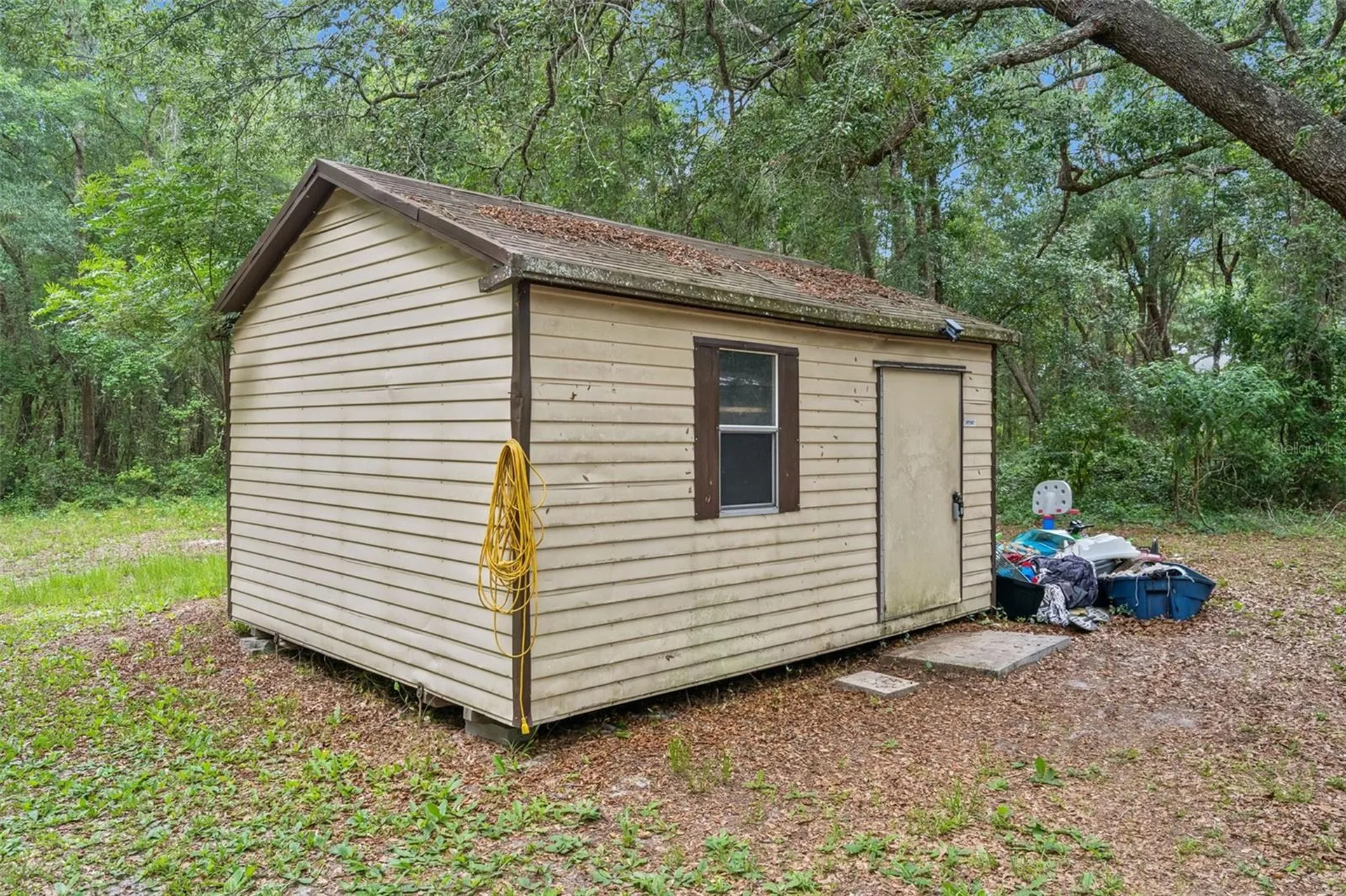 28100 SE 171st Street Umatilla FL 32784