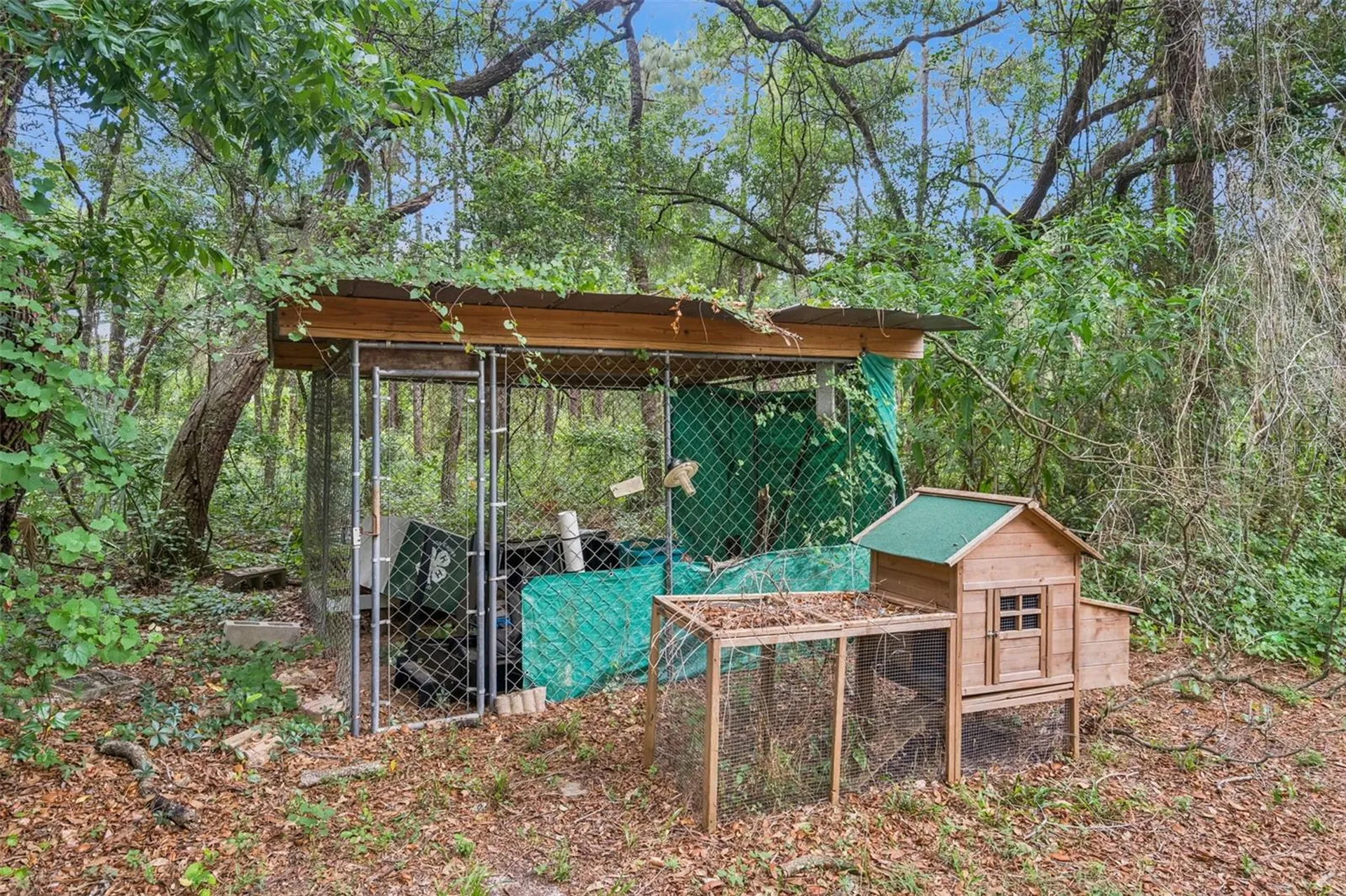 28100 SE 171st Street Umatilla FL 32784