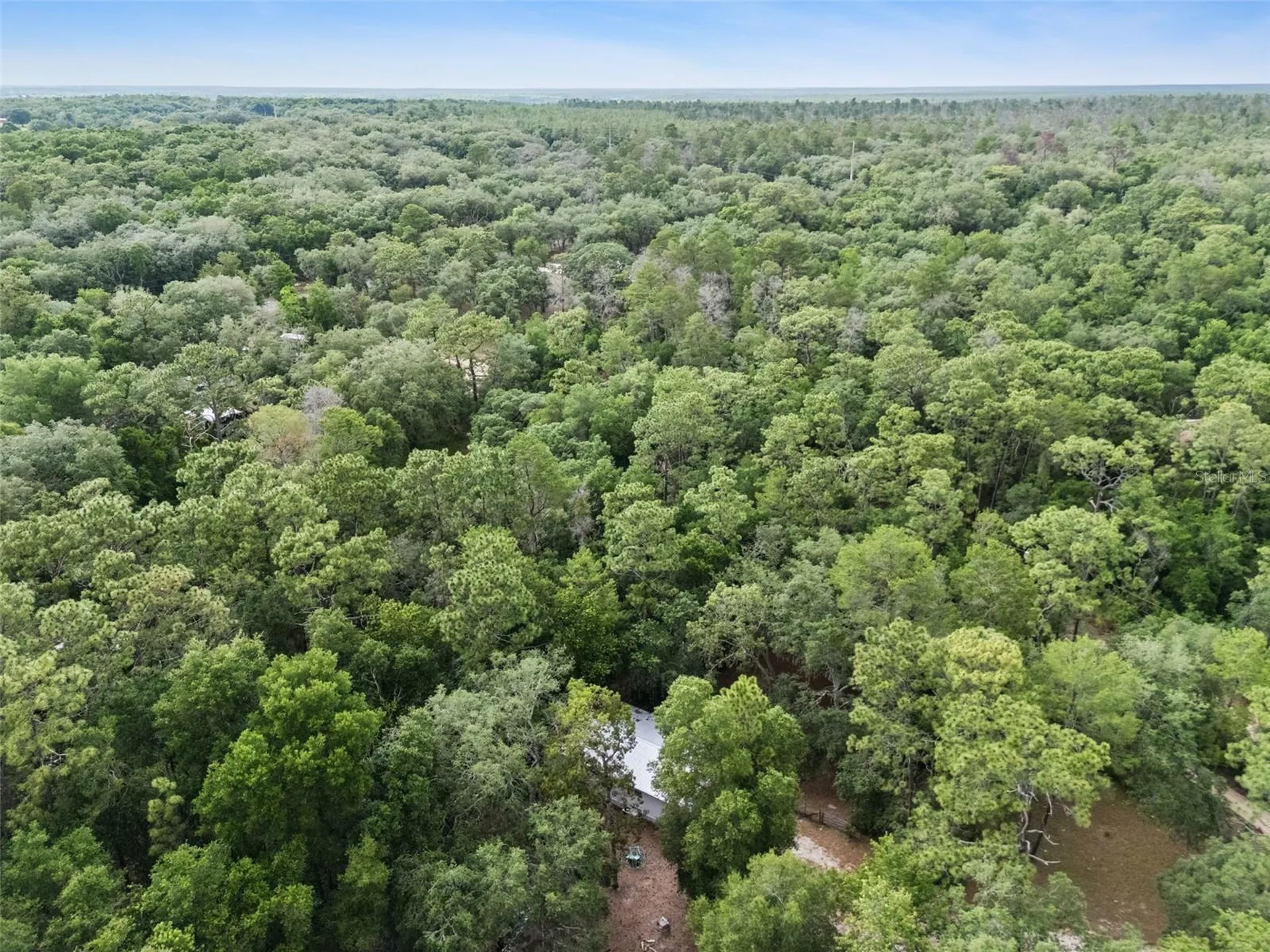 28100 SE 171st Street Umatilla FL 32784