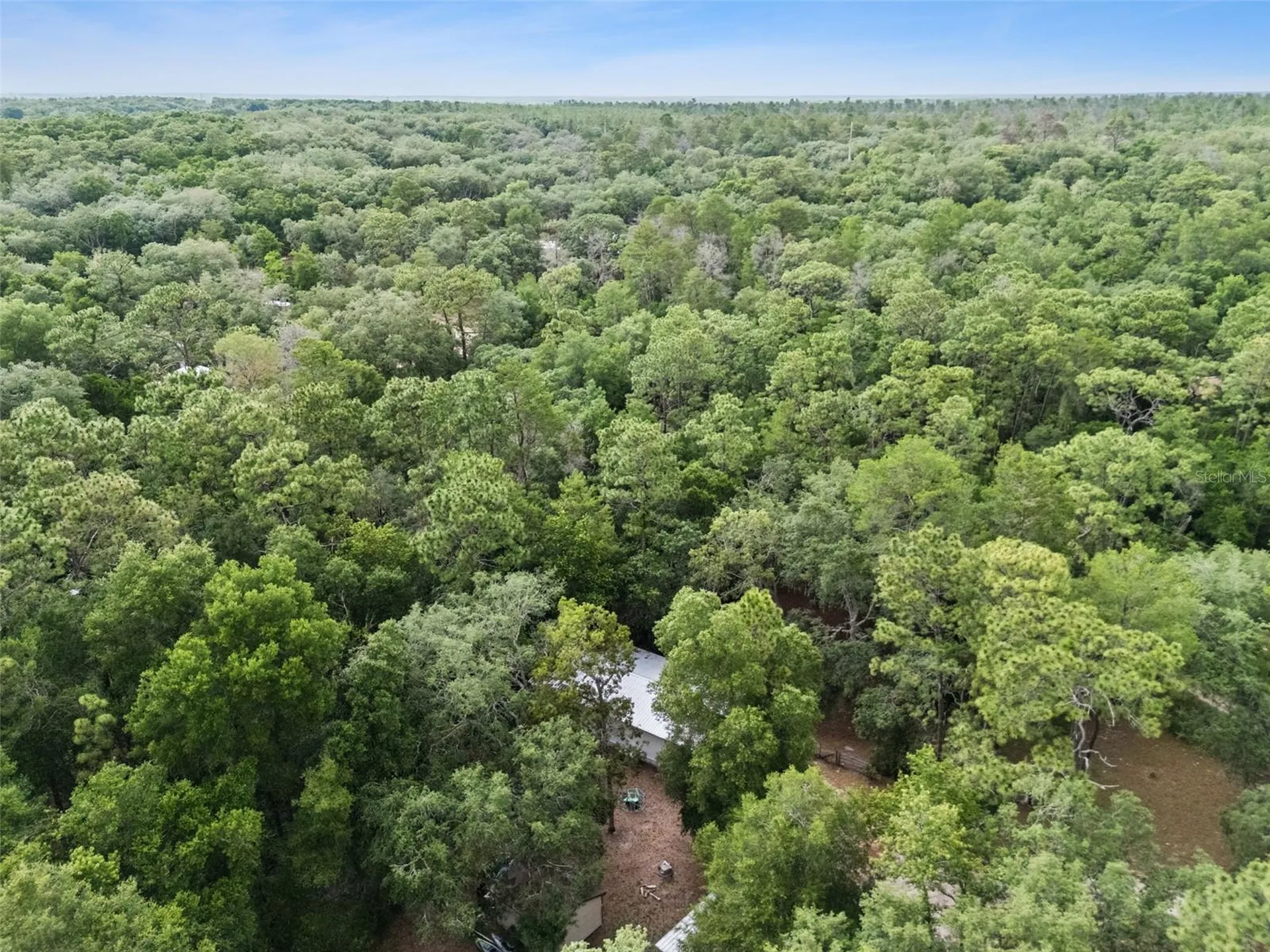 28100 SE 171st Street Umatilla FL 32784
