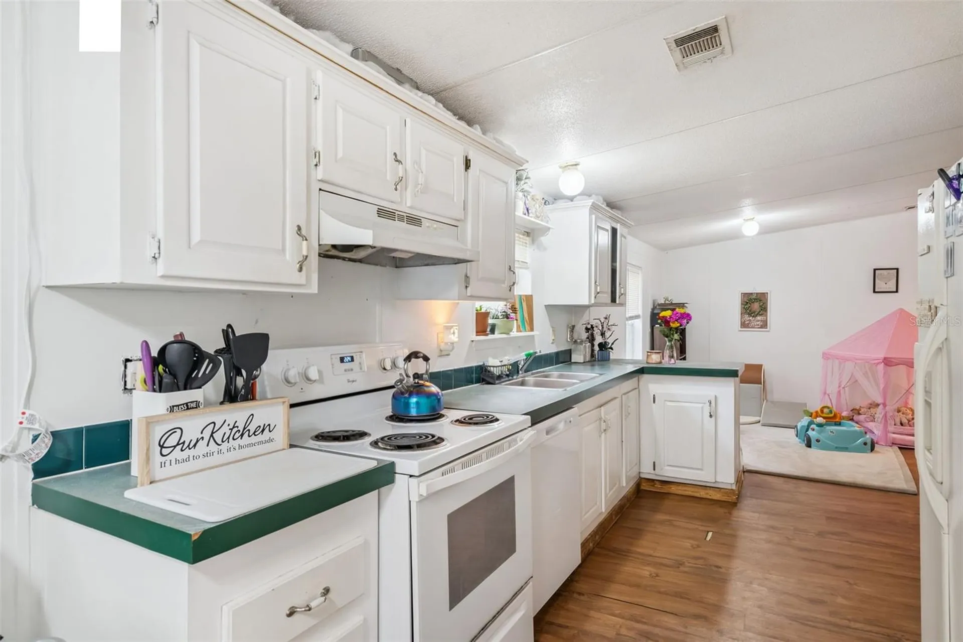 28100 SE 171st Street Umatilla FL 32784