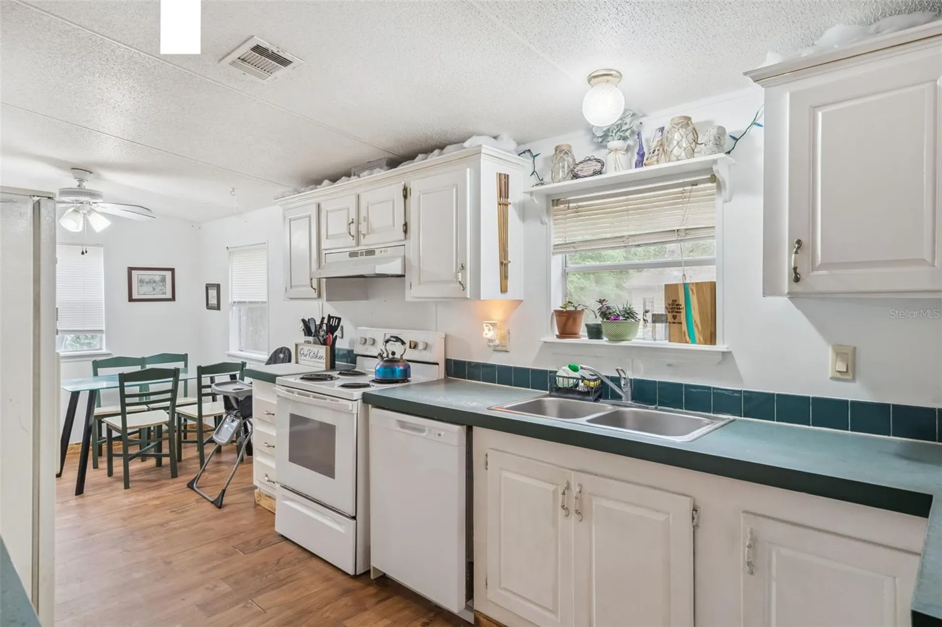 28100 SE 171st Street Umatilla FL 32784