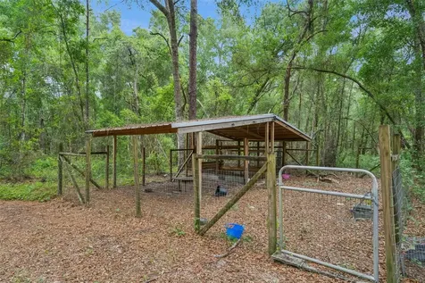 28100 SE 171st Street Umatilla FL 32784