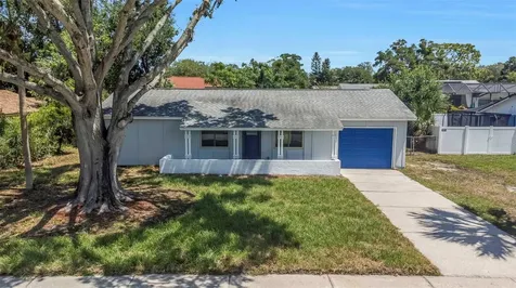 1414 Castleworks Lane Tarpon Springs FL 34689