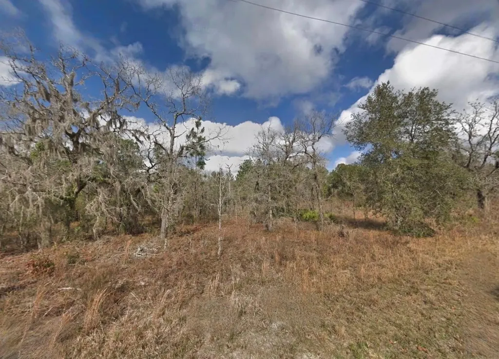 16148 Sheldrake Loop Brooksville FL 34614