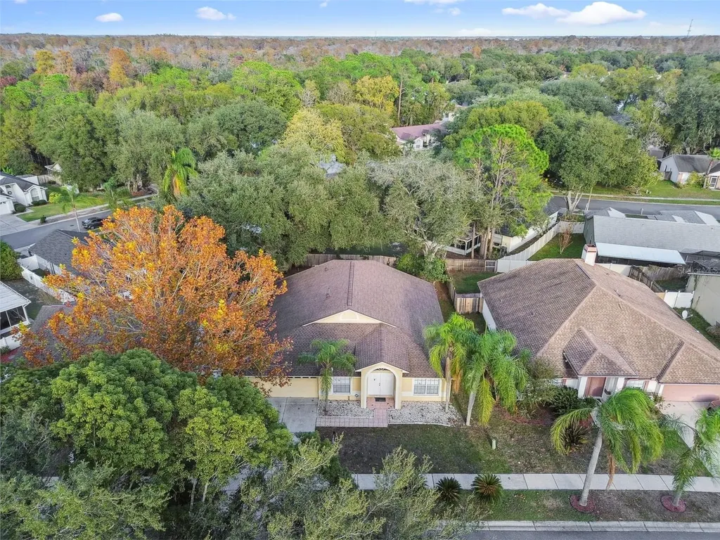 2342 Tioga Drive Land O Lakes FL 34639