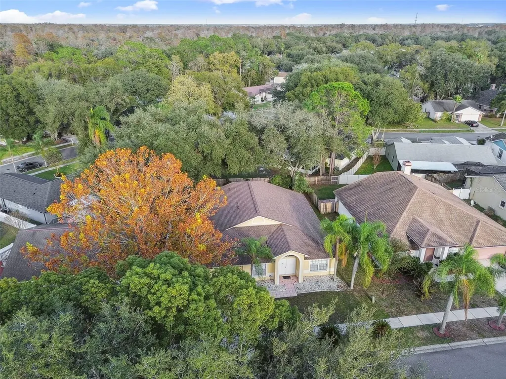 2342 Tioga Drive Land O Lakes FL 34639